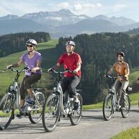 UB E-Bike Pedelec Reise Appenzellerland action
