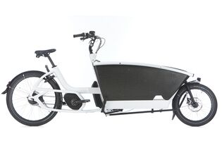 eb-012019-test-transport-e-bike-urban-arrow-family-44-BHF-eb-44-001 (jpg)