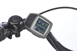 eb-test-2018-BHF-12-gepida-reptila-900-004 (jpg)