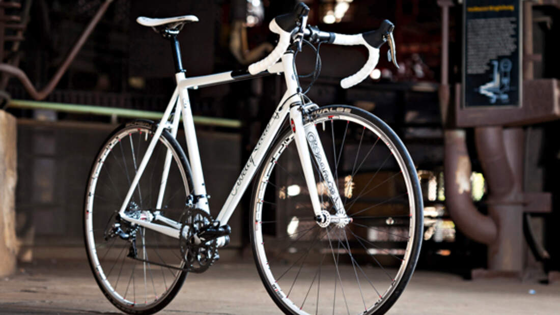 Testbericht Fixie Inc. Betty Leeds Stahl bike x