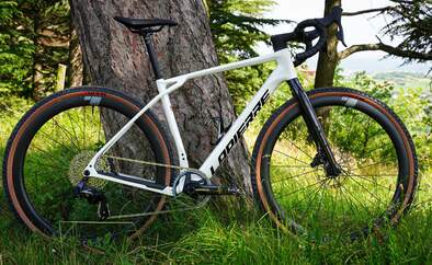 Lapierre Crosshill CF 2025,Gravelbike,am Baum,Seitenansicht