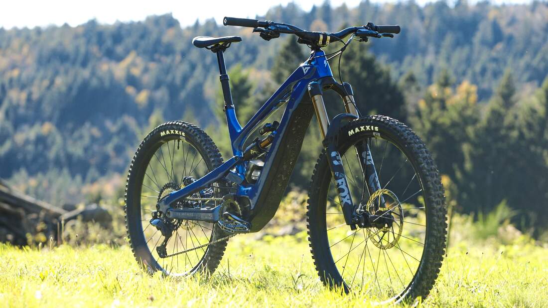 YT Decoy Core 5 im Test