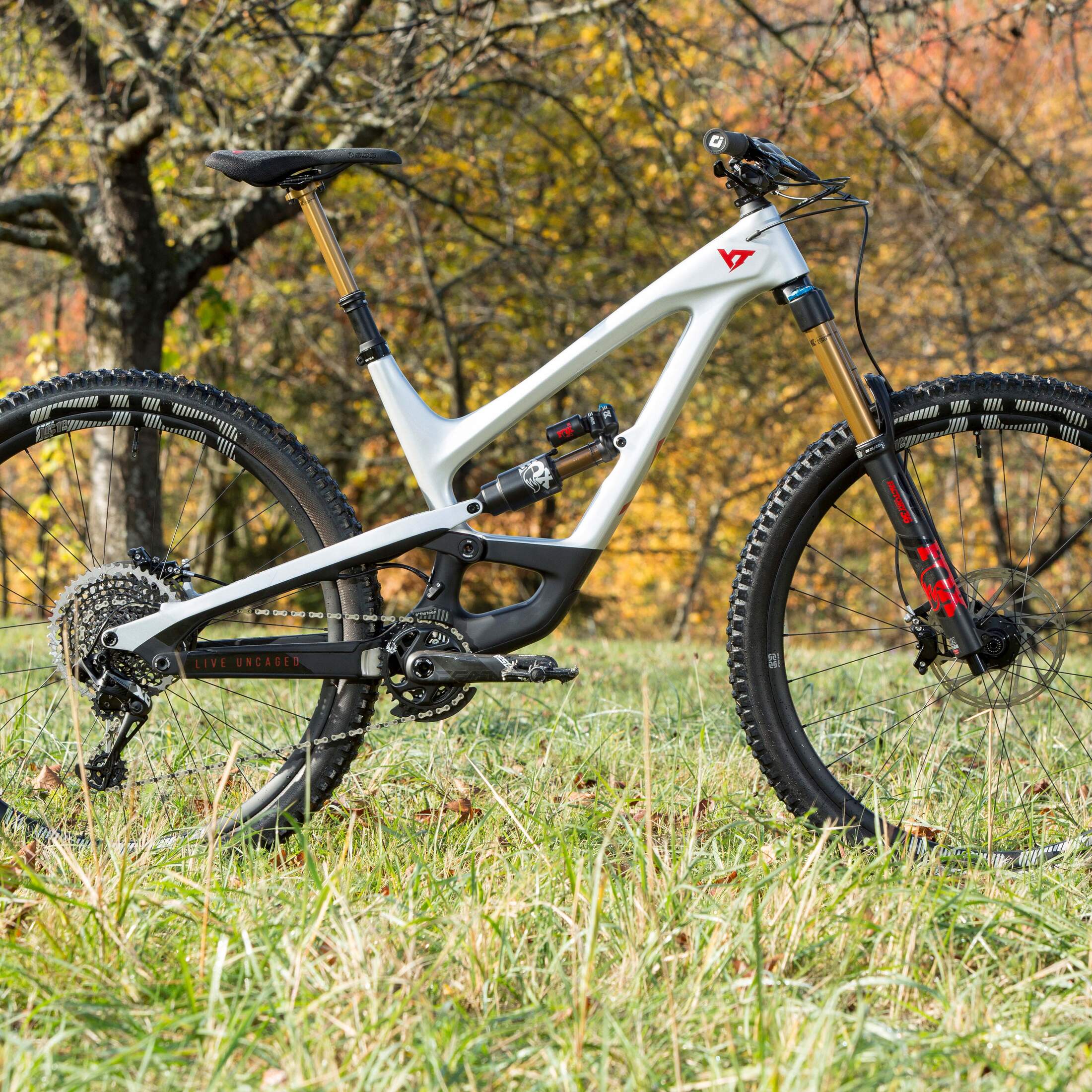 YT Capra Pro Race 29 im Test bike x