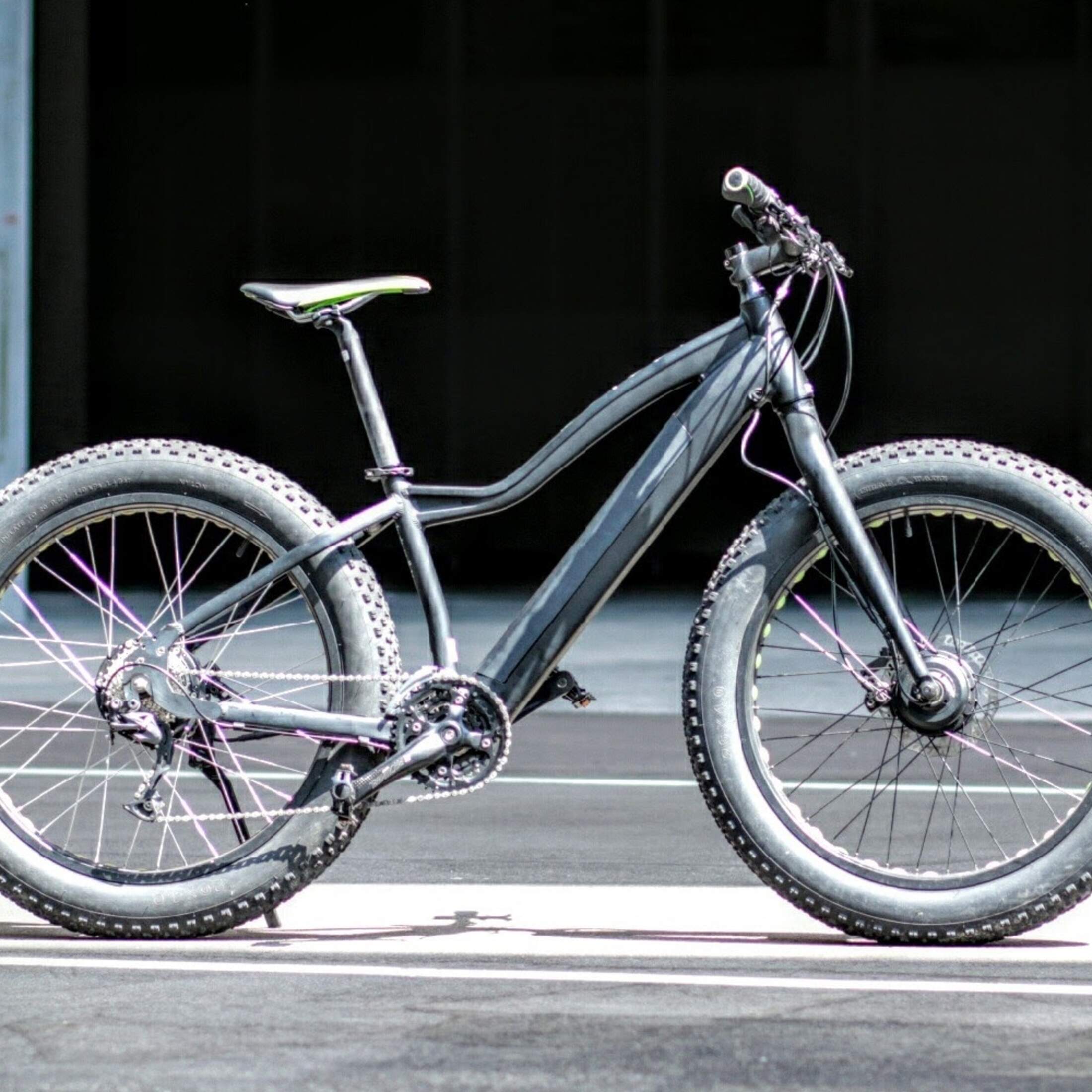 Big electric bike online