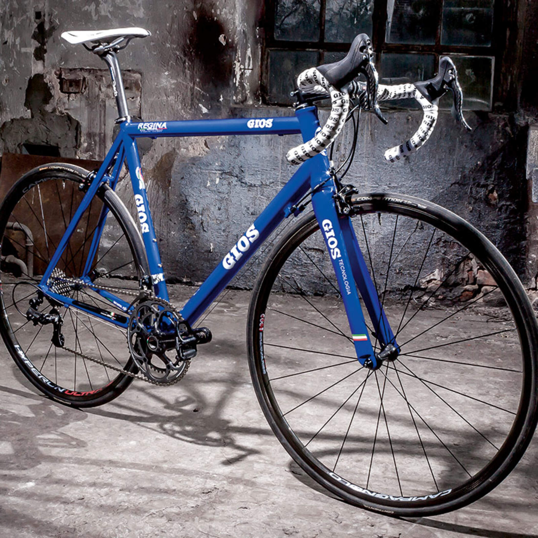 Gios regina discount