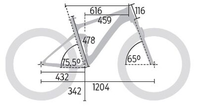 mb-0617-yt-capra-cf-pro-race-geometrie-mountainbike (jpg)