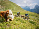 mb-1116-tirol-cross-001.jpg