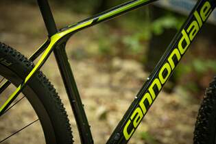 mb-cannondale-f-si-lefty-ocho-2019-5.jpg