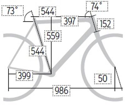rb-0417-fuji-transonic-2-punkt-3-geometrie-roadbike (jpg)
