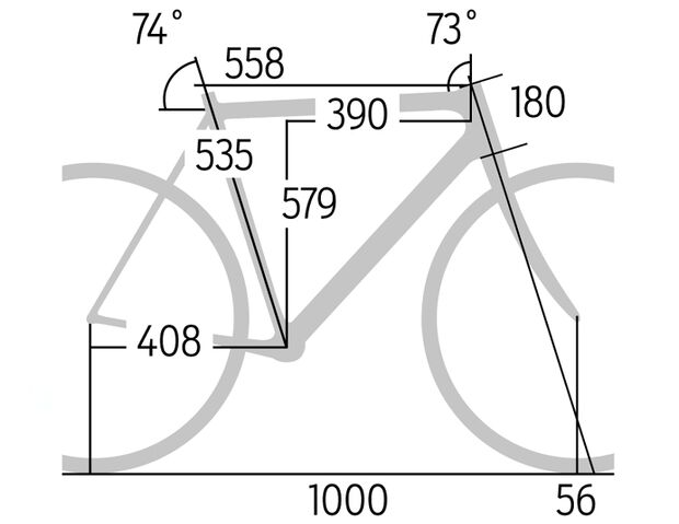 rb-0718-radtest-um-1000-geometrie-rose pro-sl-105-bike-now (jpg)