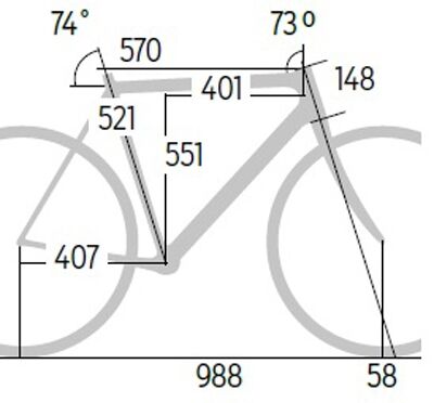 rb-0917-specialized-allez-dsw-sl-sprint-comp-geometrie-roadbike (jpg)