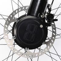 ub-e-bike-pedelelec-strassenfeger-electrolyte_motor-detail (jpg)
