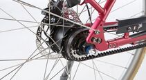 ub-pegasus-macaron-e-detail-02-e-bike-test-2017 (jpg)
