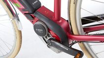 ub-pegasus-macaron-e-detail-03-e-bike-test-2017 (jpg)