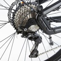 ub-riese-und-mueller-delite-gt-touring-detail-02-e-bike-test-2017 (jpg)